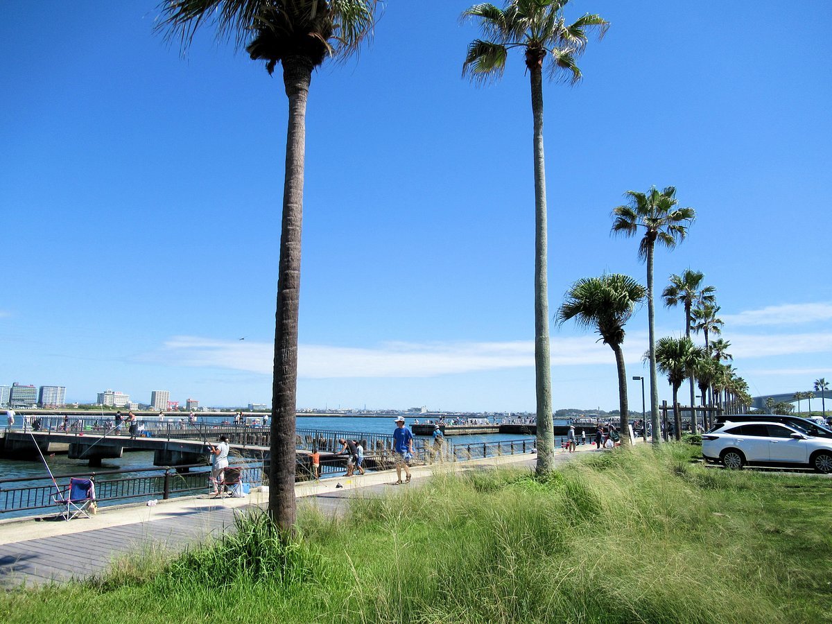 🎣 아라이 벤텐 바다낚시 공원(아라이 벤텐 우미즈리 코엔)